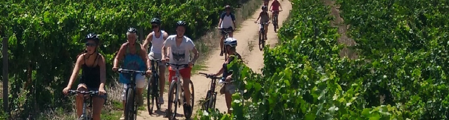Cycle Tour - Stellenbosch Adventure Ride