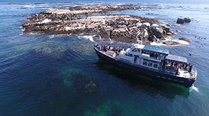 Seal Island Cruise